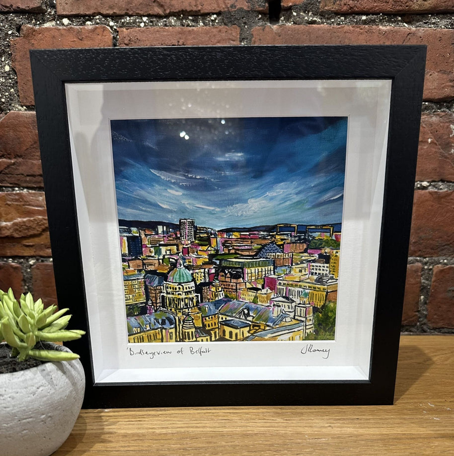 Birds Eye View Of Belfast