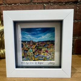 Birds Eye View Of Belfast