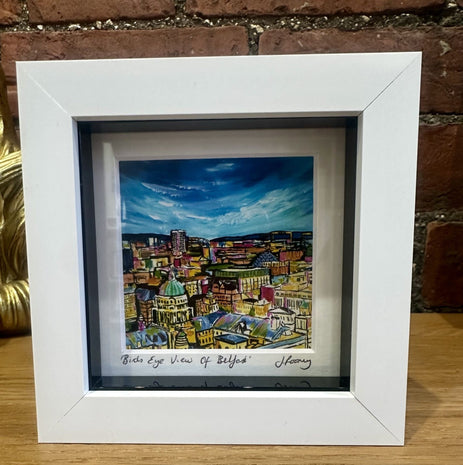 Birds Eye View Of Belfast