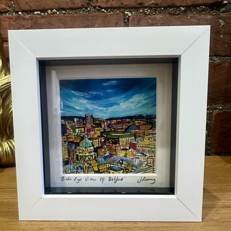 Birds Eye View Of Belfast