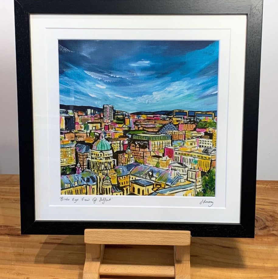 Birds Eye View Of Belfast