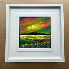 Fields Of Joy